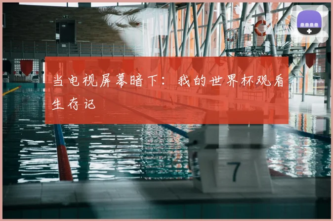 当电视屏幕暗下：我的世界杯观看生存记