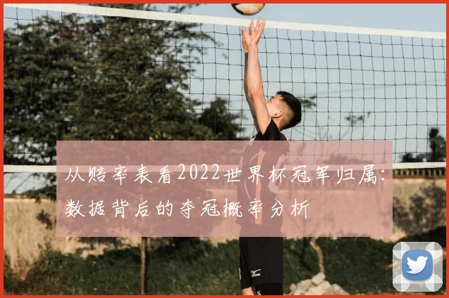 从赔率表看2022世界杯冠军归属：数据背后的夺冠概率分析