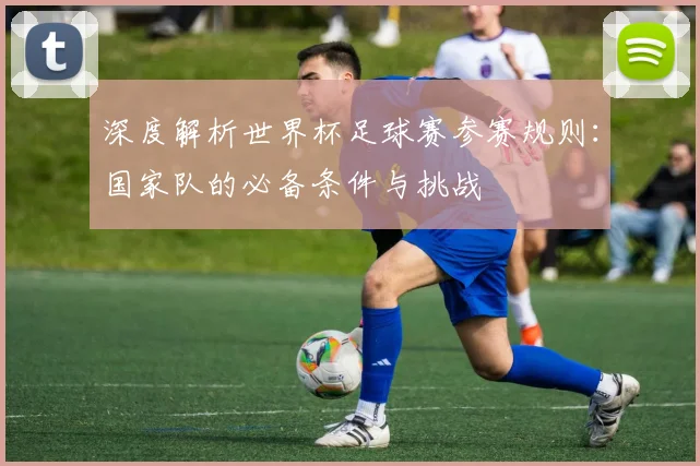 深度解析世界杯足球赛参赛规则：国家队的必备条件与挑战