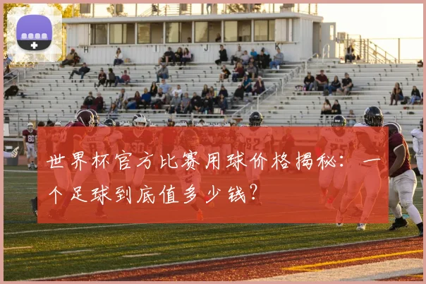 世界杯官方比赛用球价格揭秘：一个足球到底值多少钱？